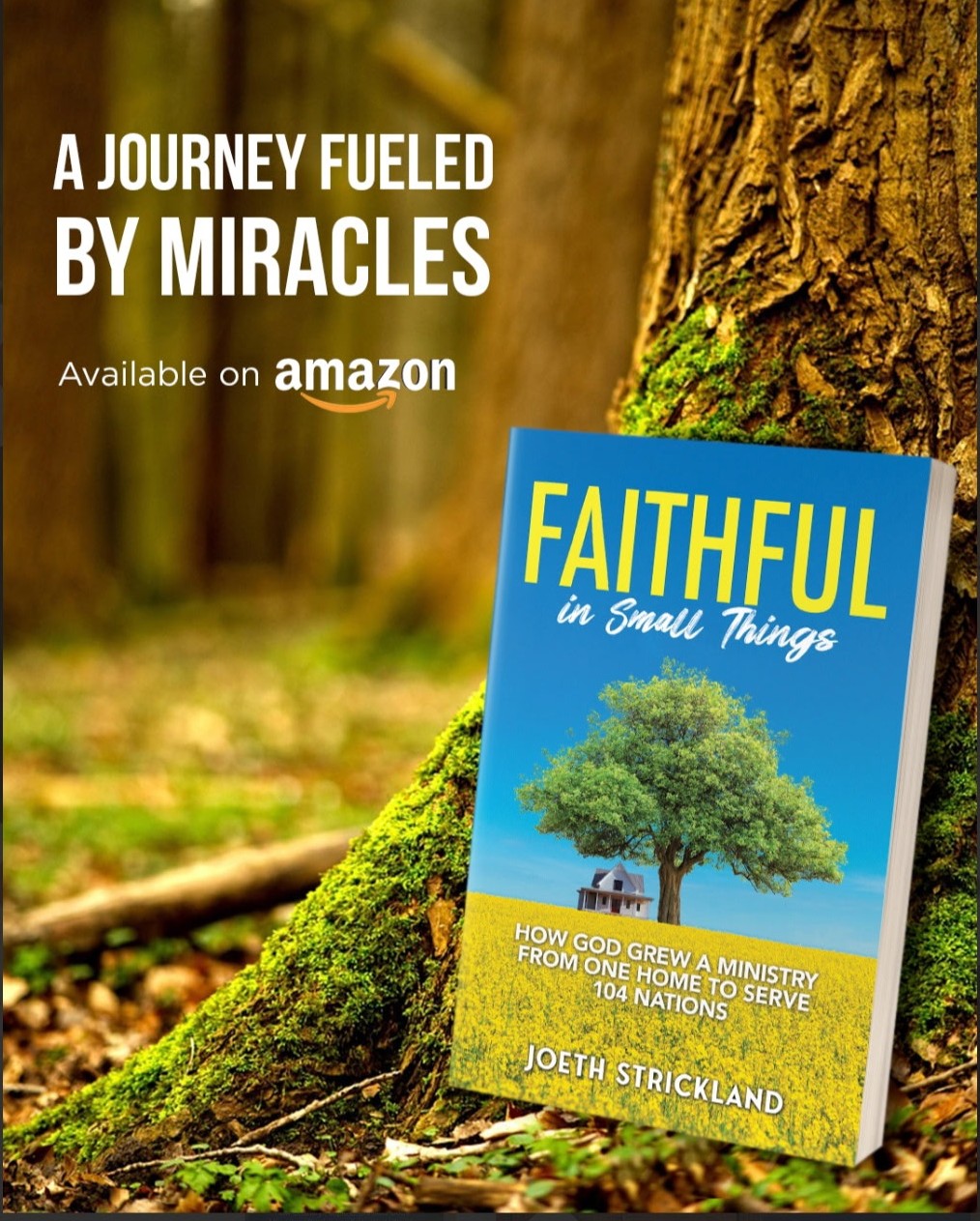 Picture of the book Faithful in Small Things by Joeth Barker